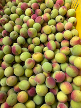 FRESH GREEN & RIPENING UME - HARVESTED WEEKEND SATURDAY 25 JAN 2025