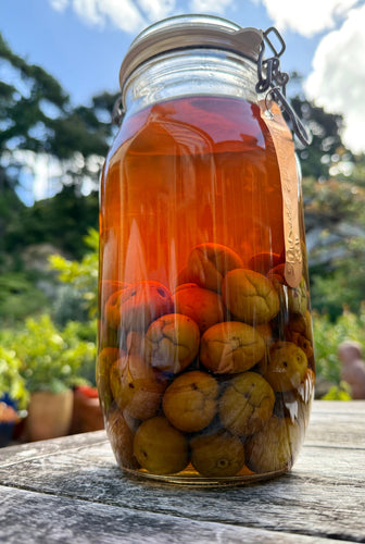Make Umeshu with green Ume fruit – NZYUZU