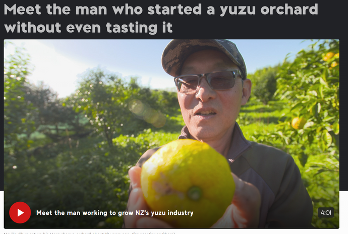 1News - Meet the man who started a yuzu orchard without even tasting it