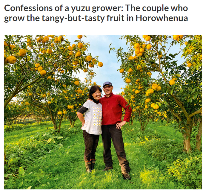 Confessions of a yuzu grower: The couple who grow the tangy-but-tasty fruit in Horowhenua
