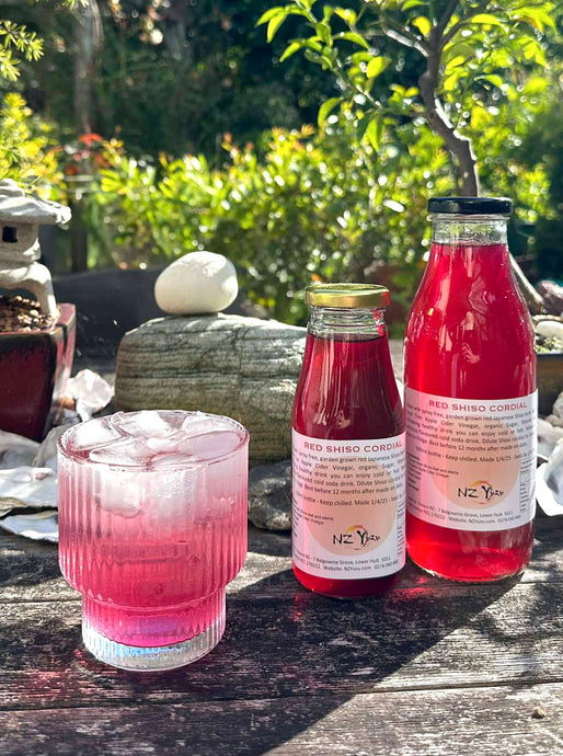 JAPANESE RED SHISO CORDIAL CONCENTRATE SYRUP  250ml,  500ml