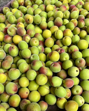 FRESH HARVESTED GREEN UME NOW AVAILABLE