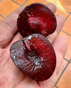 NZ PLUM "WALTER GIBBONS"