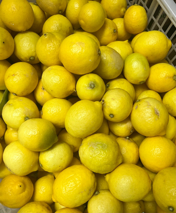 FRESH HARVEST ORGANIC CERTIFIED NZ GROWN TAHITIAN LIMES - SOLD OUT FOR THE SEASON