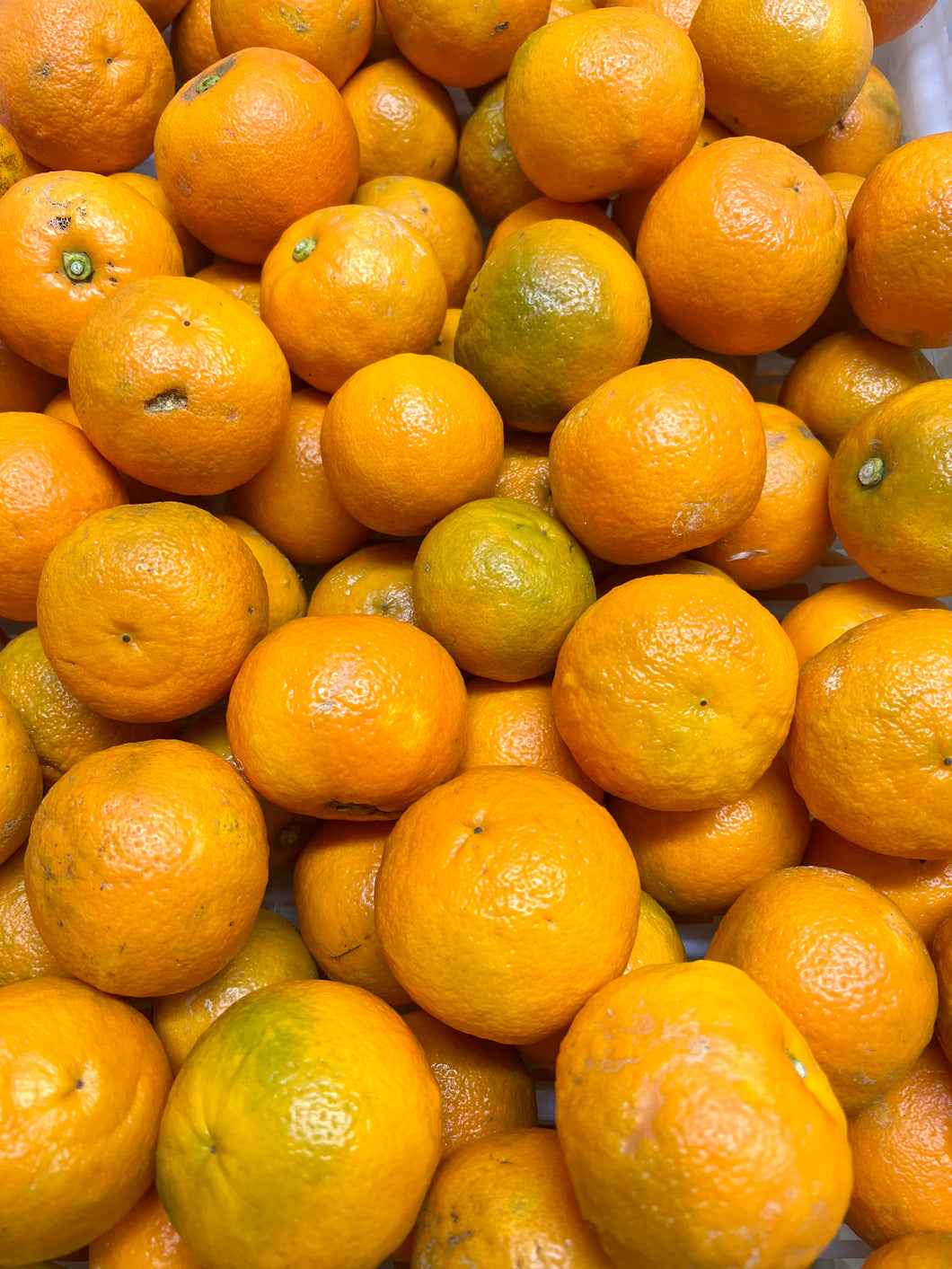 ORGANIC CERTIFIED SEVILLE ORANGES NOW AVAILABLE