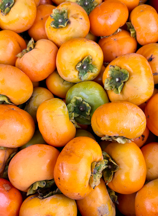 Japanese Persimmon 