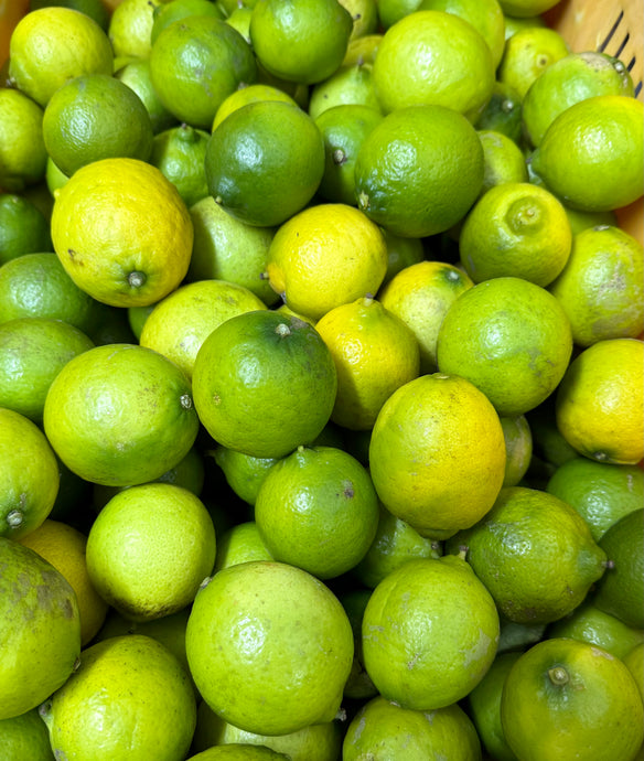 FRESH HARVEST ORGANIC CERTIFIED NZ GROWN TAHITIAN LIMES