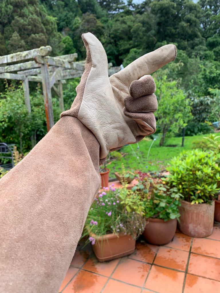 COMMERCIAL GRADE LEATHER PRUNING GLOVES LONG SLEEVE PROTECTS