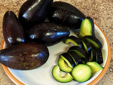 AVOCADO MEXICOLA - MORE COLD TOLERANT THAN ANY OTHER VARIETY IN NZ