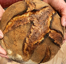 Organic certified NZ Sourdough starters