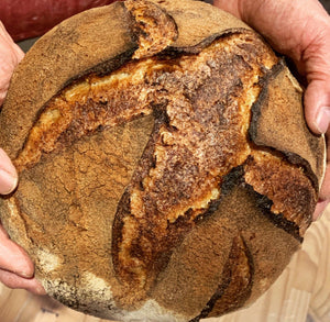 Organic certified NZ Sourdough starters