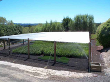 ALISHADE THERMAL REFLECTIVE SHADECLOTH - SHADES & REFLECTS THE SUN'S HEAT