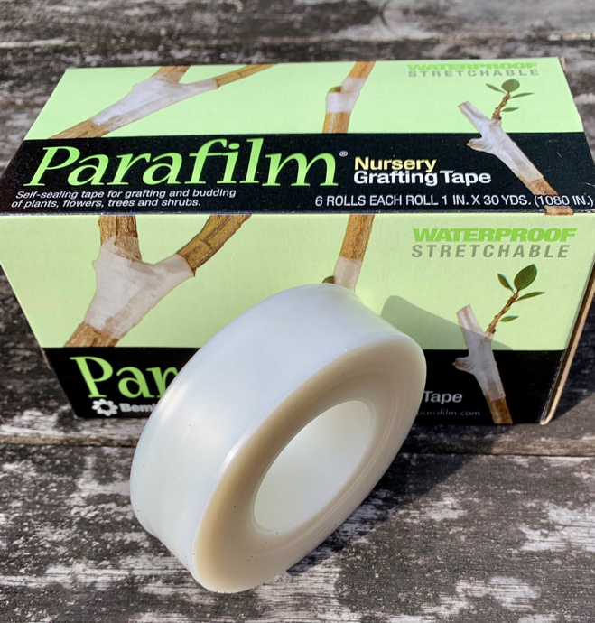 PARAFILM GRAFTING TAPE - MADE IN USA - WORLD FAMOUS!